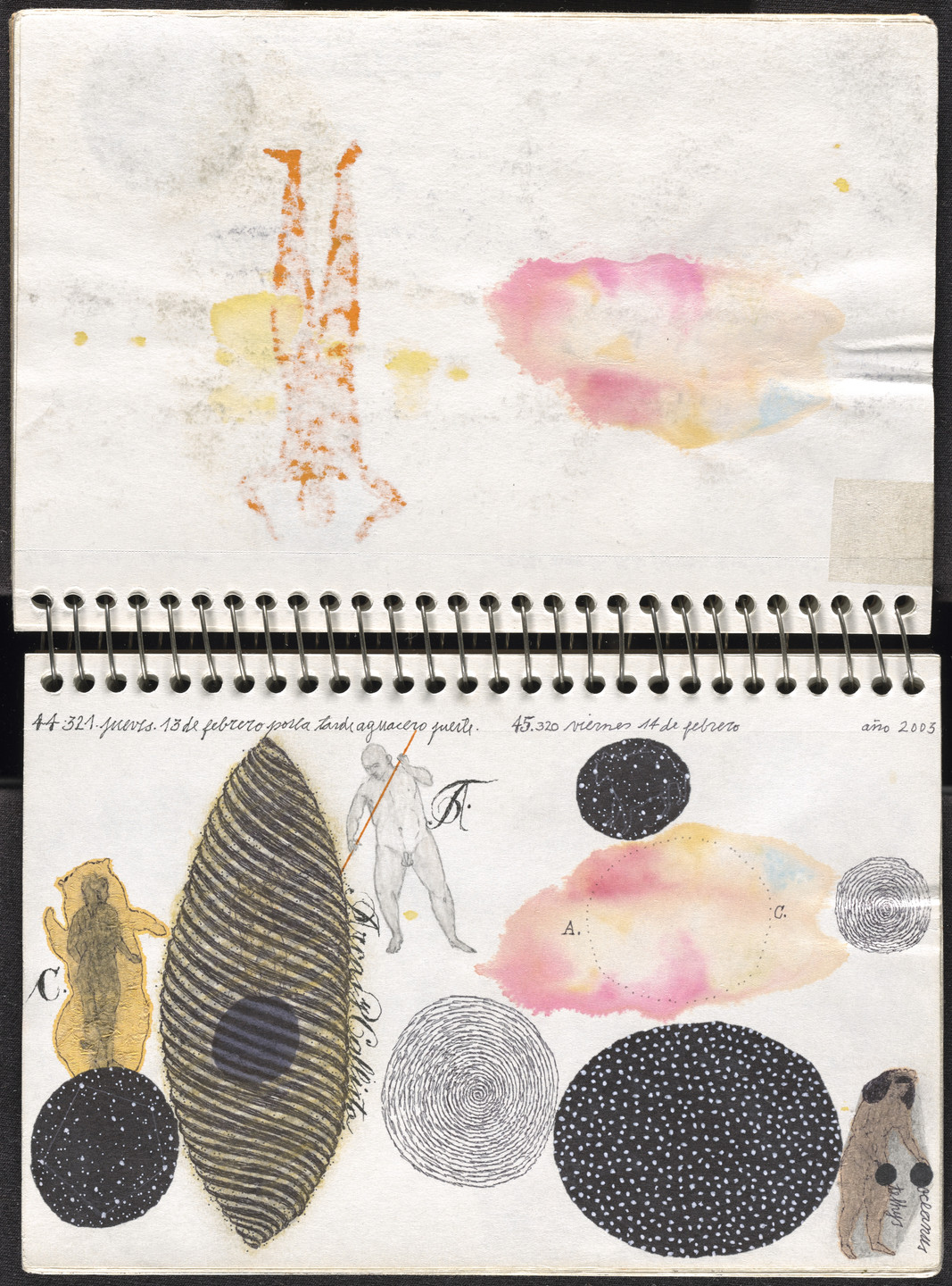 José Antonio Suárez Londoño. Metamorphoses Ovid I (Metamorfosis Ovidio I). 2003