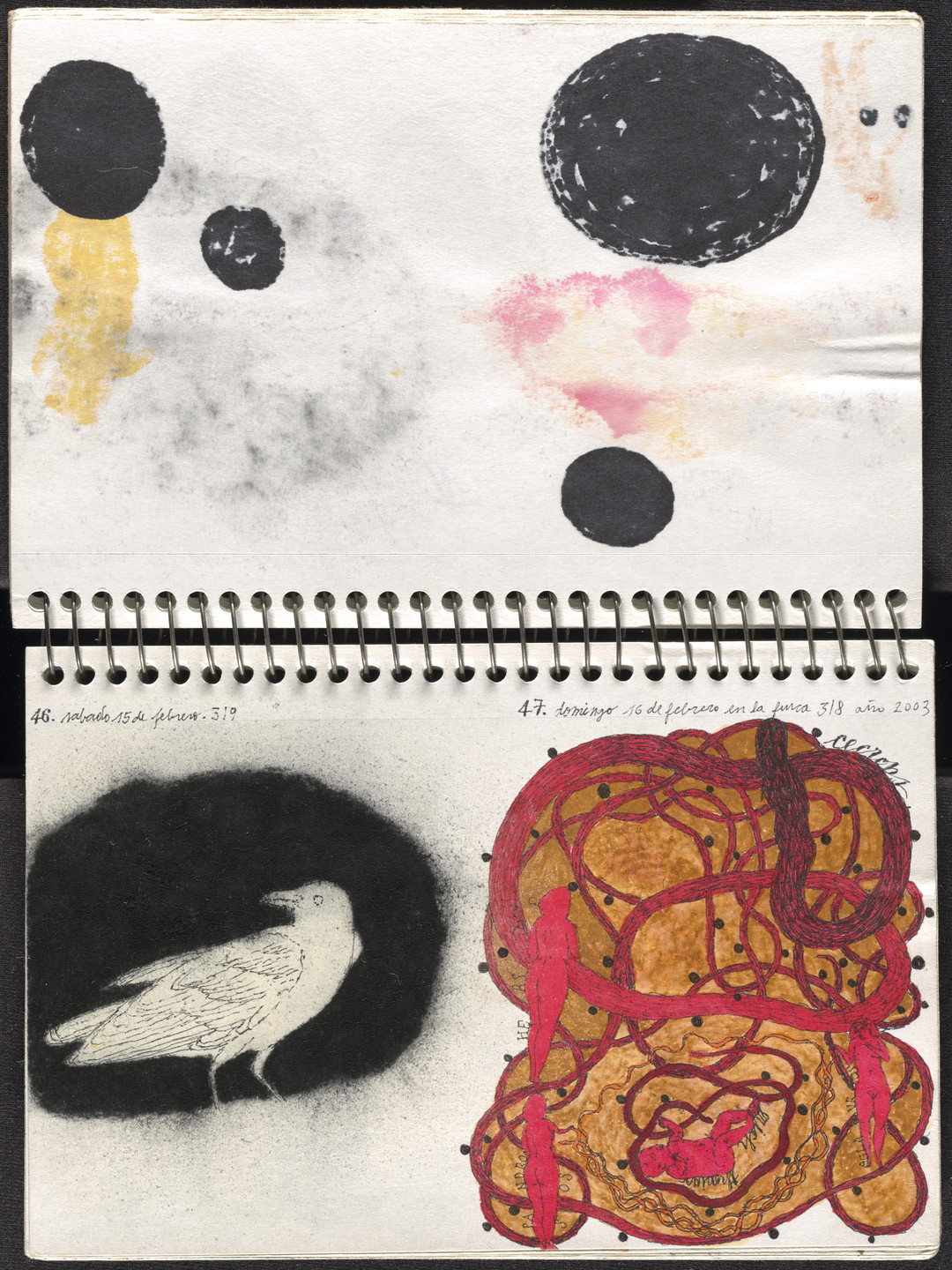 José Antonio Suárez Londoño. Metamorphoses Ovid I (Metamorfosis Ovidio I). 2003
