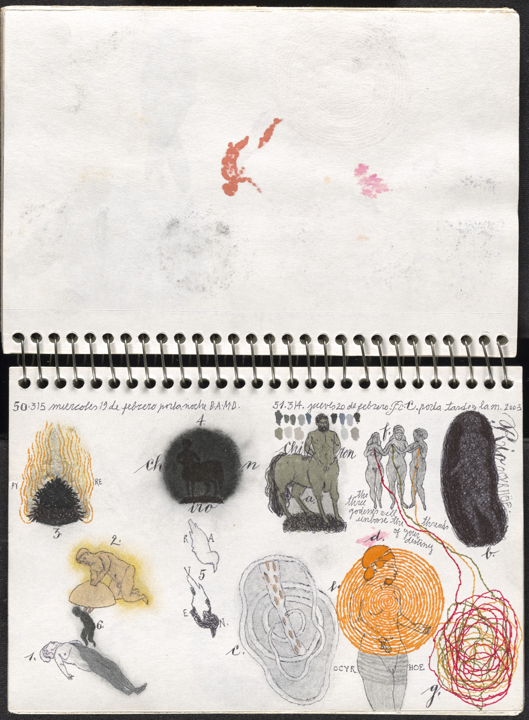 José Antonio Suárez Londoño. Metamorphoses Ovid I (Metamorfosis Ovidio I). 2003