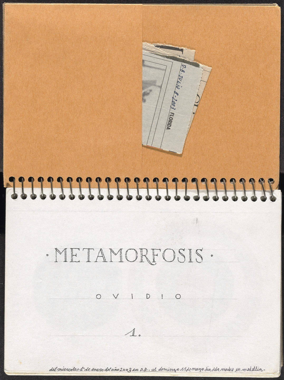 José Antonio Suárez Londoño. Metamorphoses Ovid I (Metamorfosis Ovidio I). 2003
