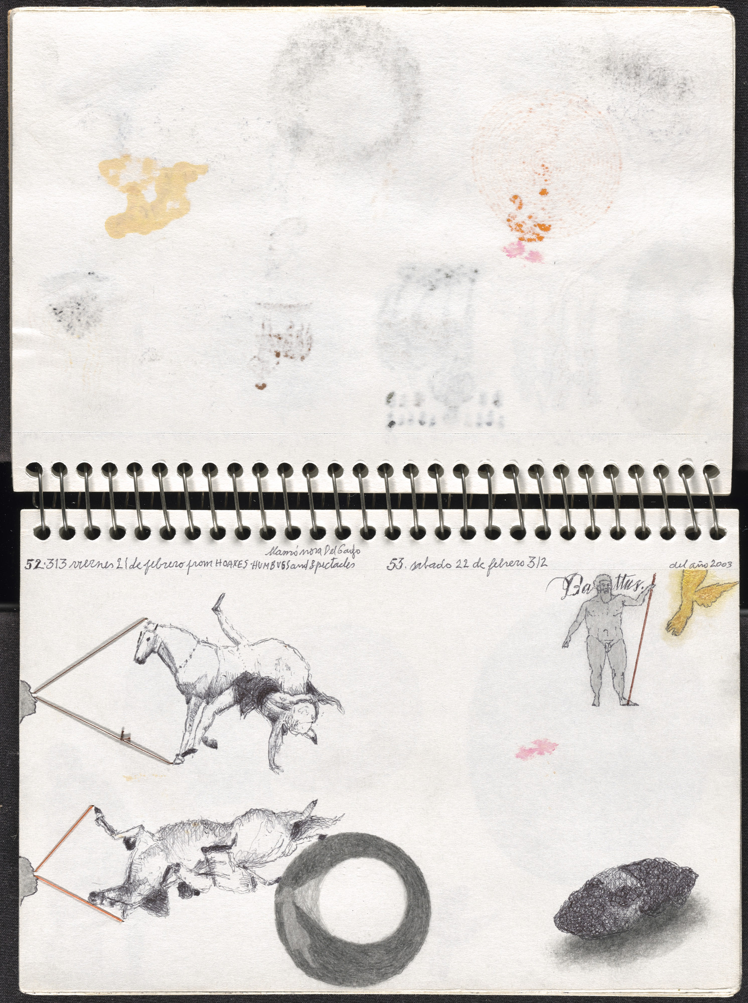 José Antonio Suárez Londoño. Metamorphoses Ovid I (Metamorfosis Ovidio I). 2003