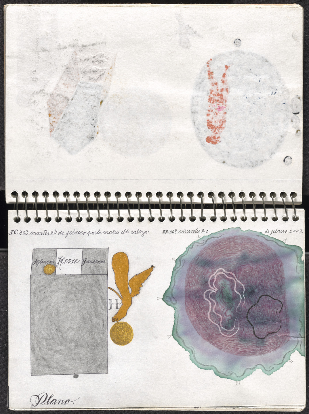 José Antonio Suárez Londoño. Metamorphoses Ovid I (Metamorfosis Ovidio I). 2003
