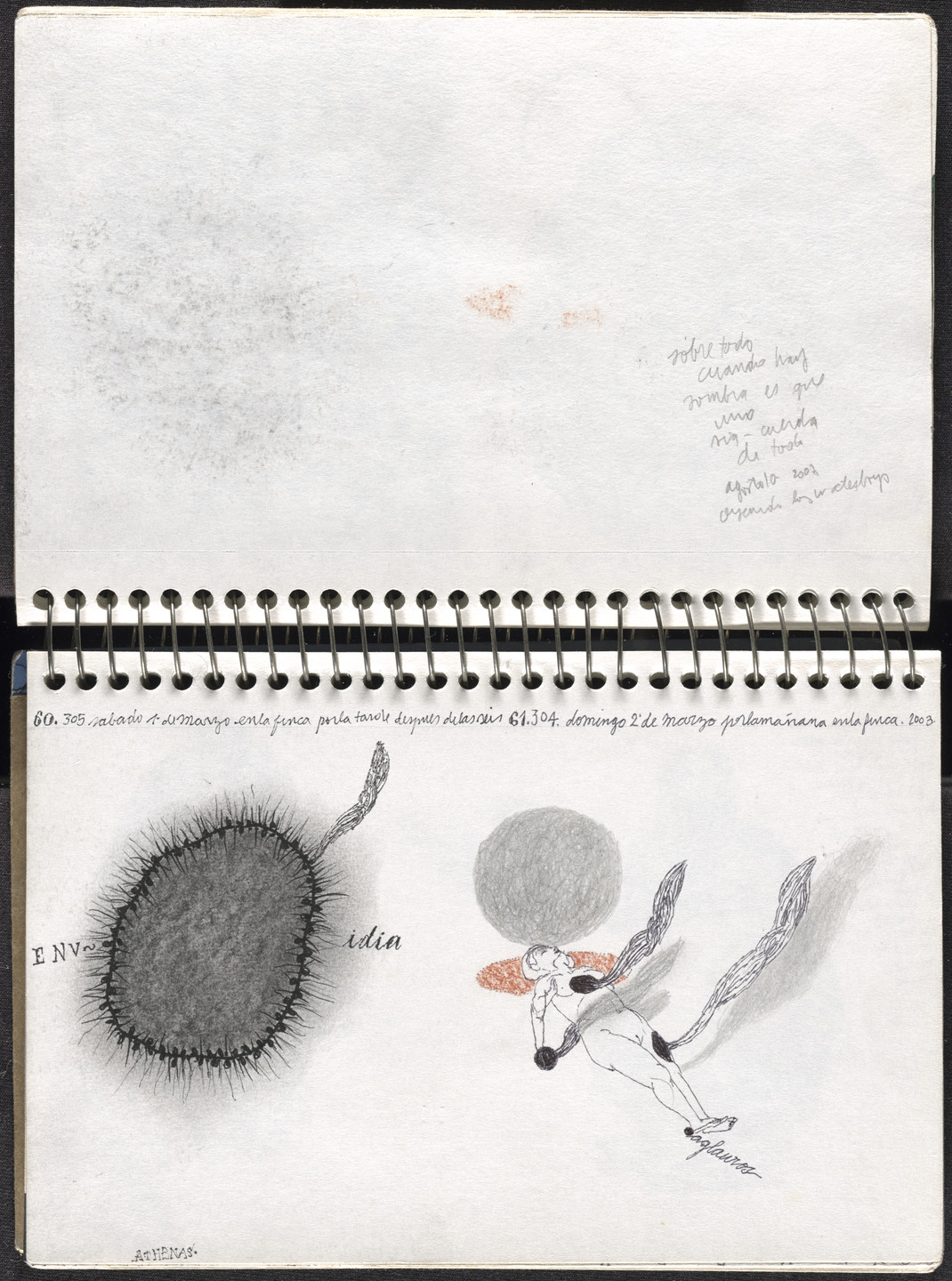 José Antonio Suárez Londoño. Metamorphoses Ovid I (Metamorfosis Ovidio I). 2003