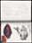 José Antonio Suárez Londoño. Metamorphoses Ovid I (Metamorfosis Ovidio I). 2003