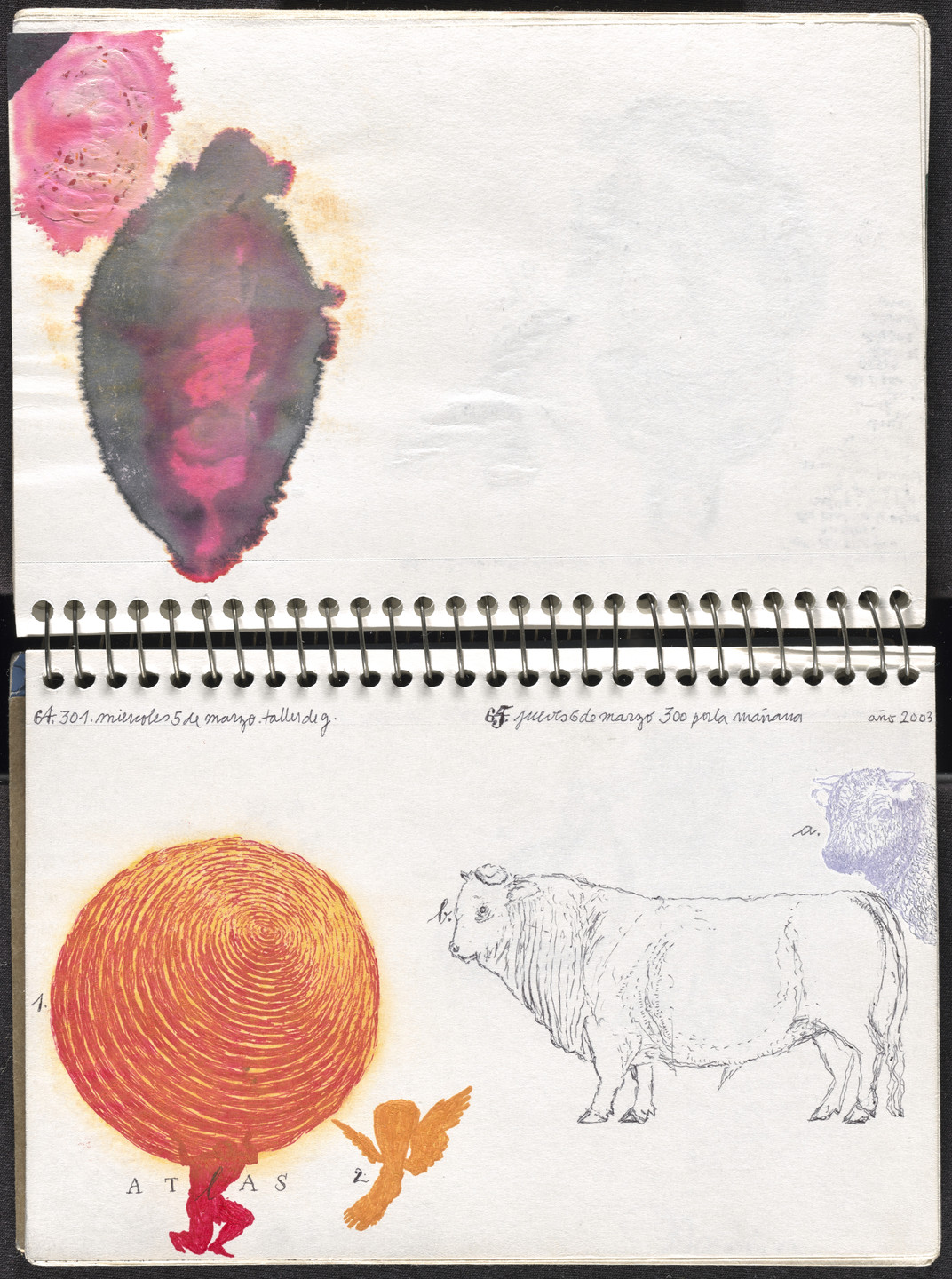 José Antonio Suárez Londoño. Metamorphoses Ovid I (Metamorfosis Ovidio I). 2003