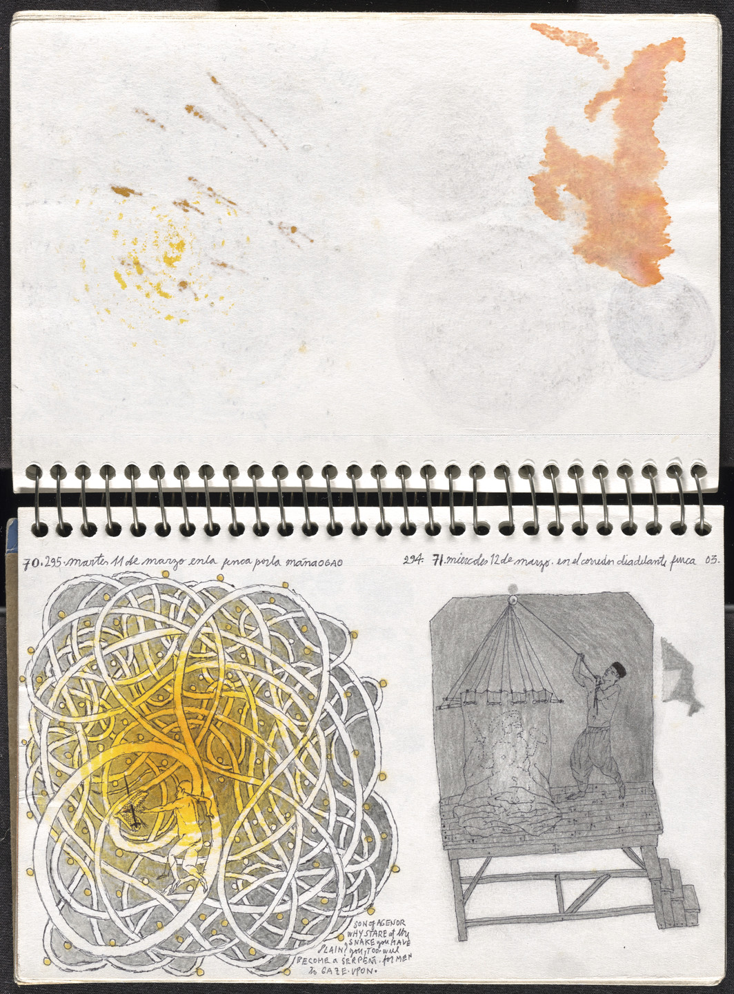 José Antonio Suárez Londoño. Metamorphoses Ovid I (Metamorfosis Ovidio I). 2003