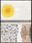 José Antonio Suárez Londoño. Metamorphoses Ovid I (Metamorfosis Ovidio I). 2003