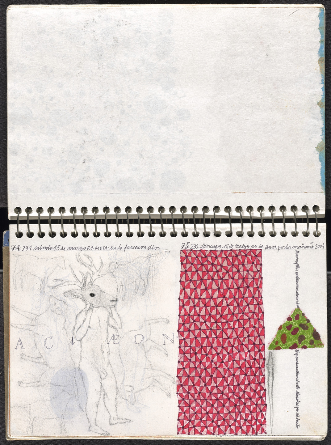 José Antonio Suárez Londoño. Metamorphoses Ovid I (Metamorfosis Ovidio I). 2003