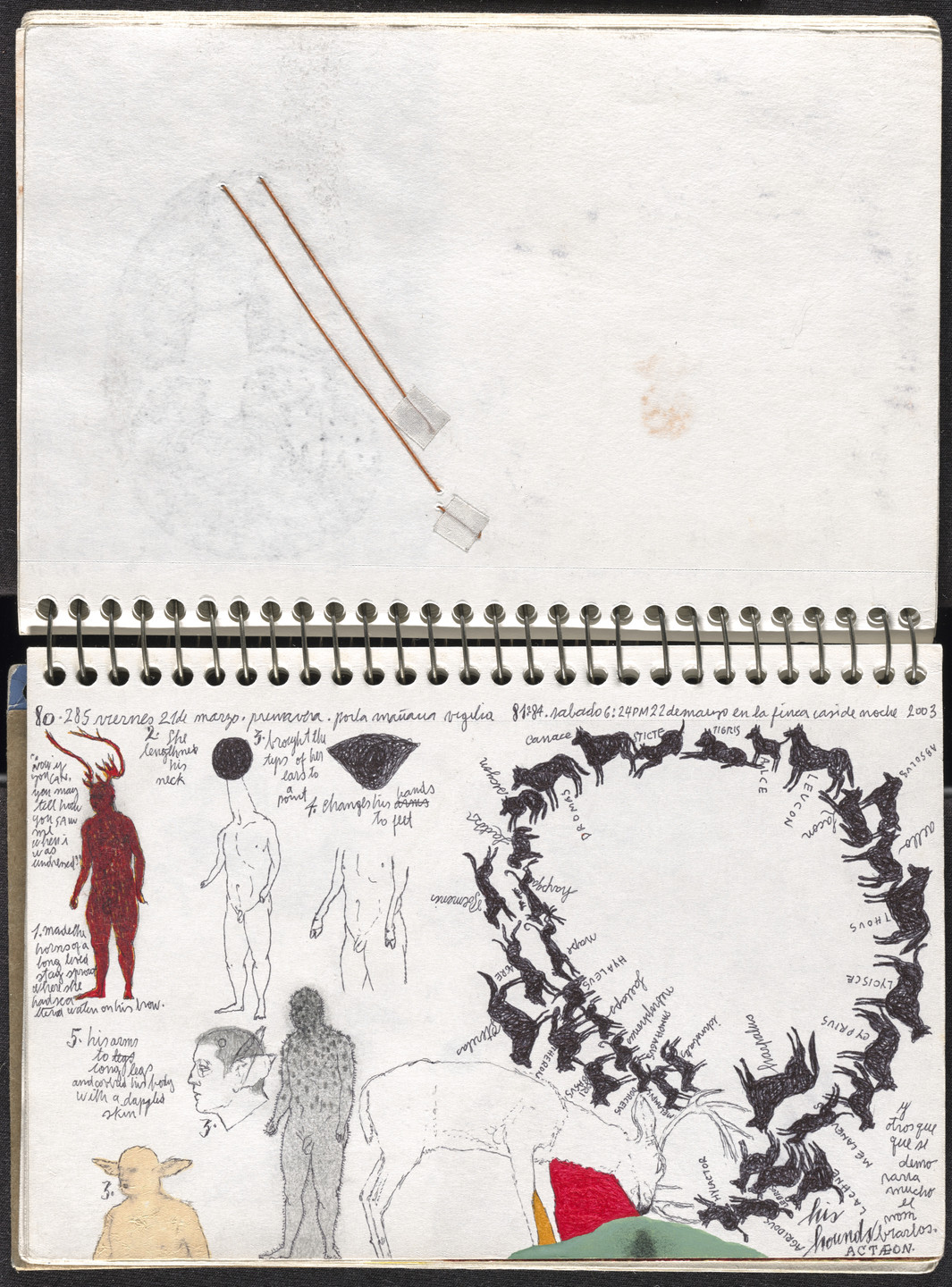José Antonio Suárez Londoño. Metamorphoses Ovid I (Metamorfosis Ovidio I). 2003