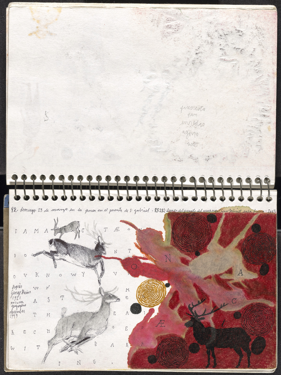 José Antonio Suárez Londoño. Metamorphoses Ovid I (Metamorfosis Ovidio I). 2003