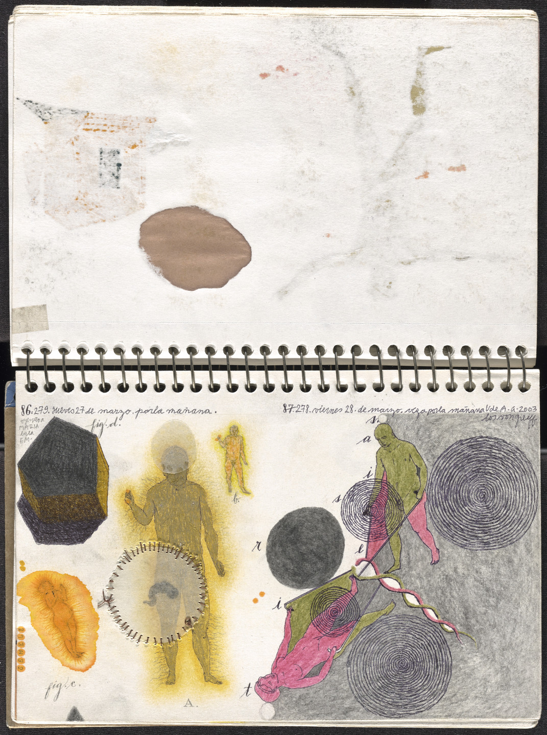 José Antonio Suárez Londoño. Metamorphoses Ovid I (Metamorfosis Ovidio I). 2003