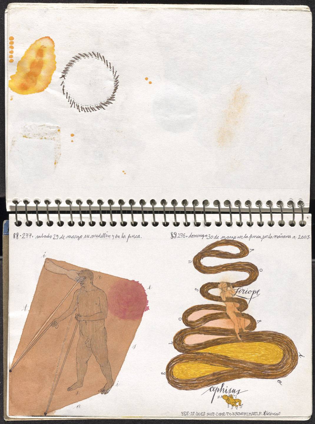 José Antonio Suárez Londoño. Metamorphoses Ovid I (Metamorfosis Ovidio I). 2003