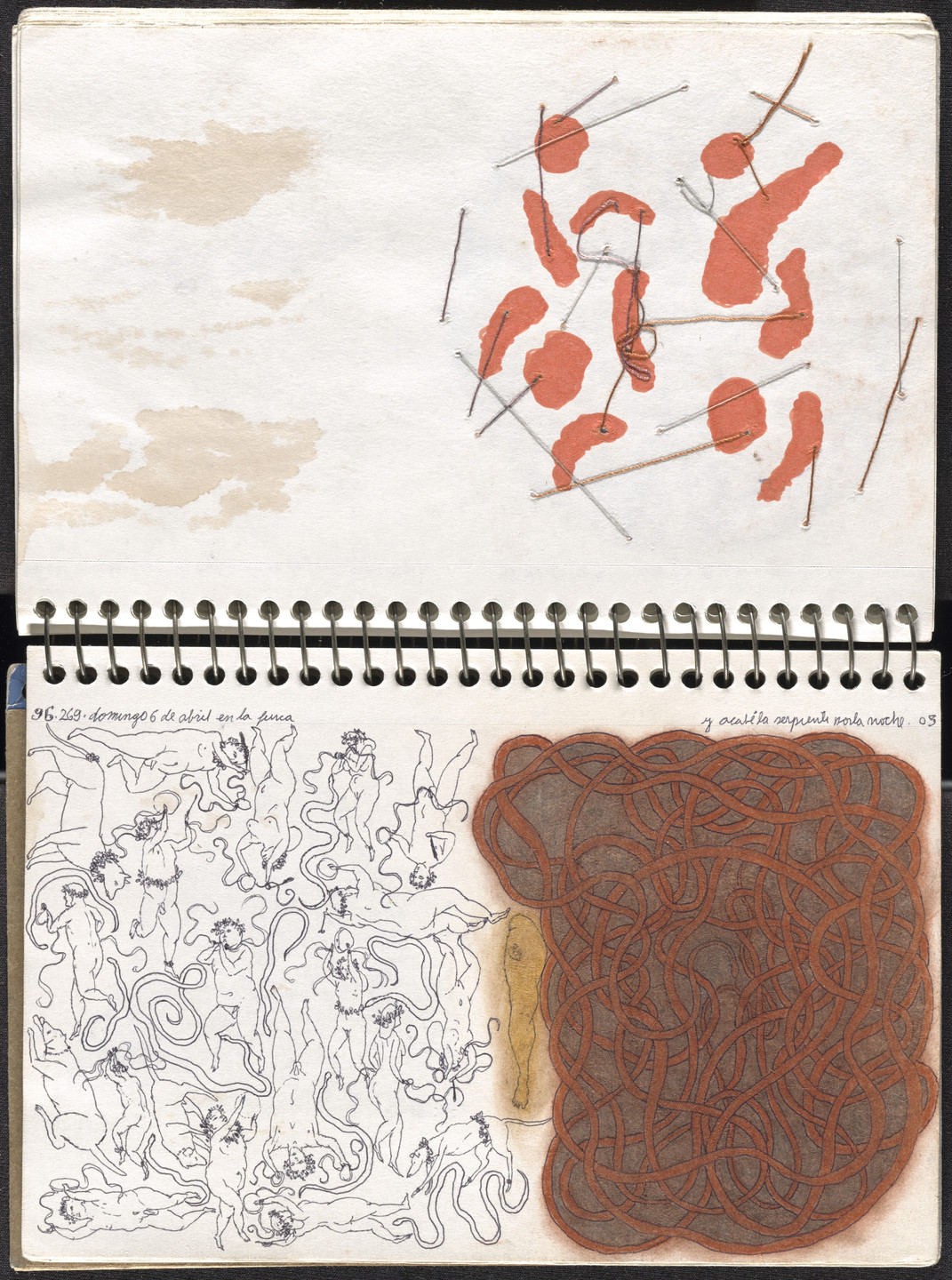 José Antonio Suárez Londoño. Metamorphoses Ovid I (Metamorfosis Ovidio I). 2003