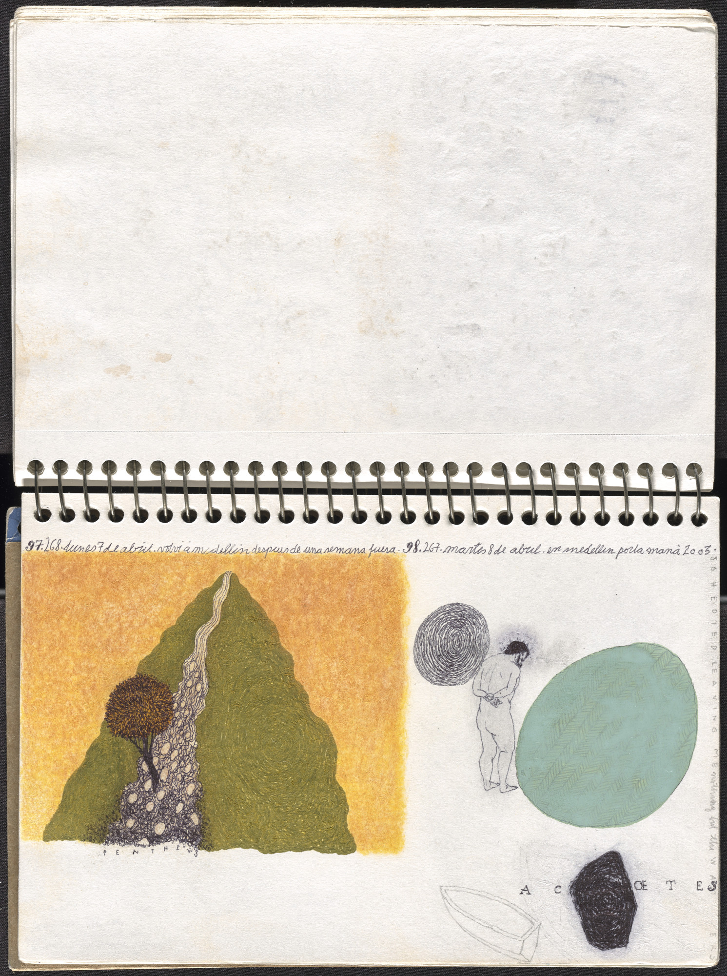 José Antonio Suárez Londoño. Metamorphoses Ovid I (Metamorfosis Ovidio I). 2003