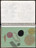 José Antonio Suárez Londoño. Metamorphoses Ovid I (Metamorfosis Ovidio I). 2003