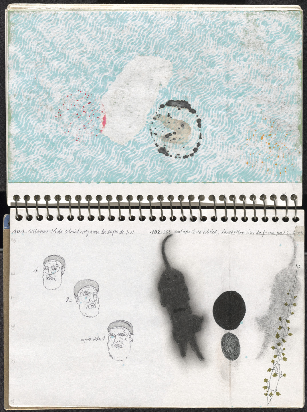 José Antonio Suárez Londoño. Metamorphoses Ovid I (Metamorfosis Ovidio I). 2003