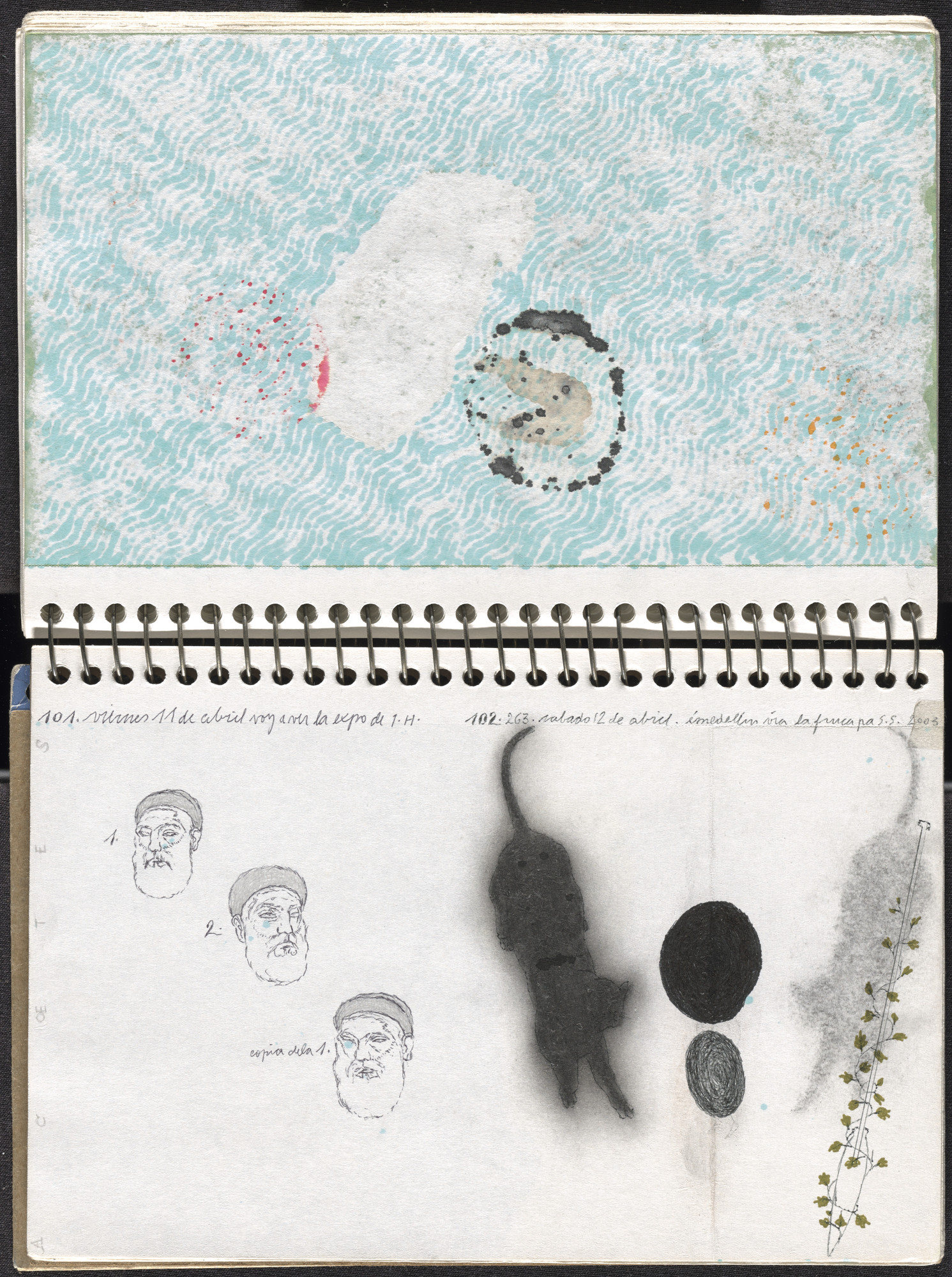 José Antonio Suárez Londoño. Metamorphoses Ovid I (Metamorfosis Ovidio I). 2003