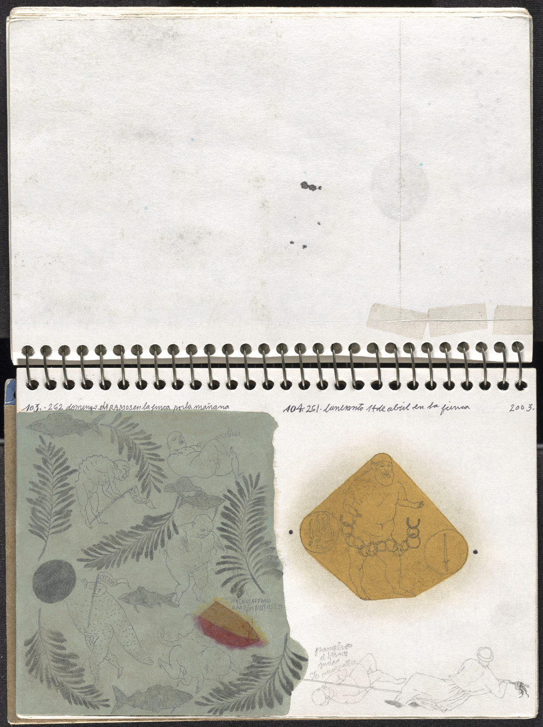 José Antonio Suárez Londoño. Metamorphoses Ovid I (Metamorfosis Ovidio I). 2003