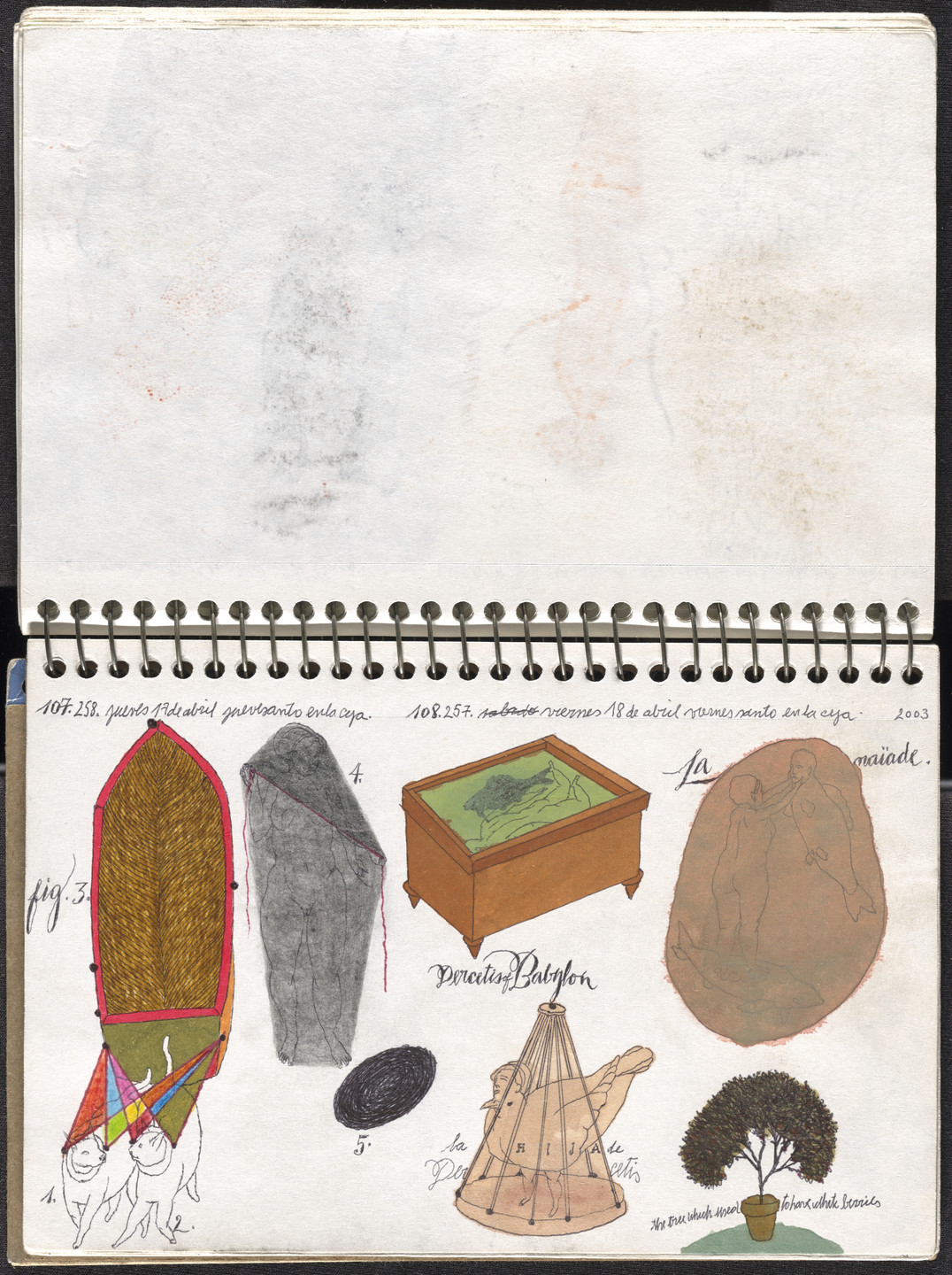 José Antonio Suárez Londoño. Metamorphoses Ovid I (Metamorfosis Ovidio I). 2003