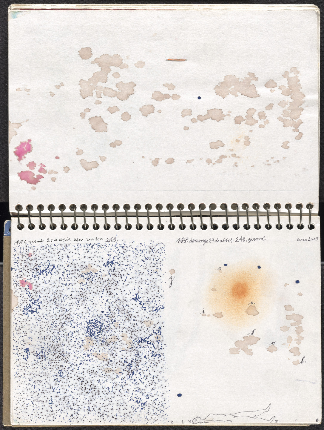 José Antonio Suárez Londoño. Metamorphoses Ovid I (Metamorfosis Ovidio I). 2003