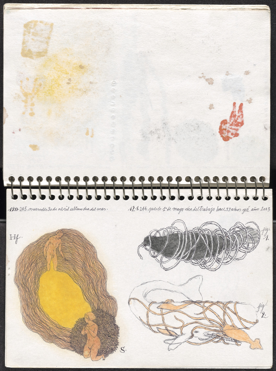 José Antonio Suárez Londoño. Metamorphoses Ovid I (Metamorfosis Ovidio I). 2003