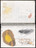 José Antonio Suárez Londoño. Metamorphoses Ovid I (Metamorfosis Ovidio I). 2003