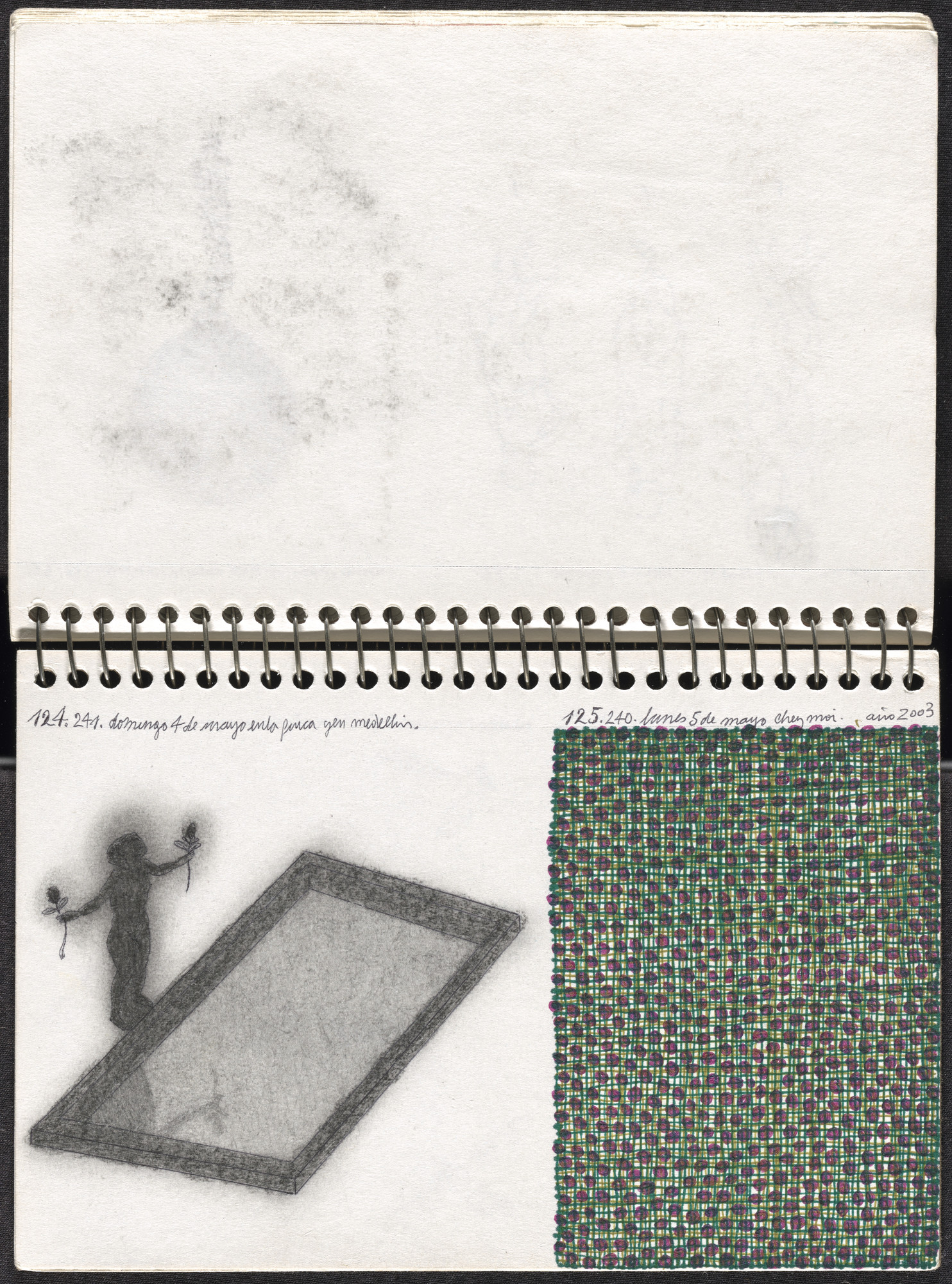 José Antonio Suárez Londoño. Metamorphoses Ovid I (Metamorfosis Ovidio I). 2003