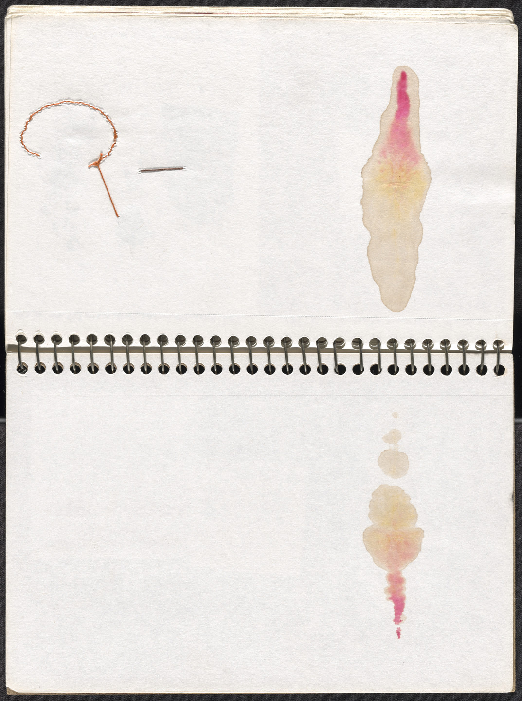 José Antonio Suárez Londoño. Metamorphoses Ovid I (Metamorfosis Ovidio I). 2003