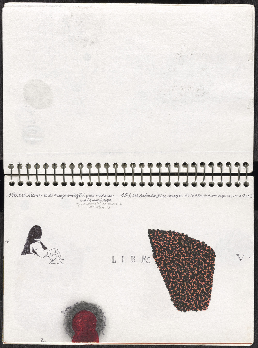 José Antonio Suárez Londoño. Metamorphoses Ovid II (Metamorfosis Ovidio II). 2003