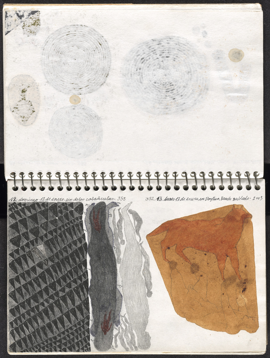 José Antonio Suárez Londoño. Metamorphoses Ovid I (Metamorfosis Ovidio I). 2003