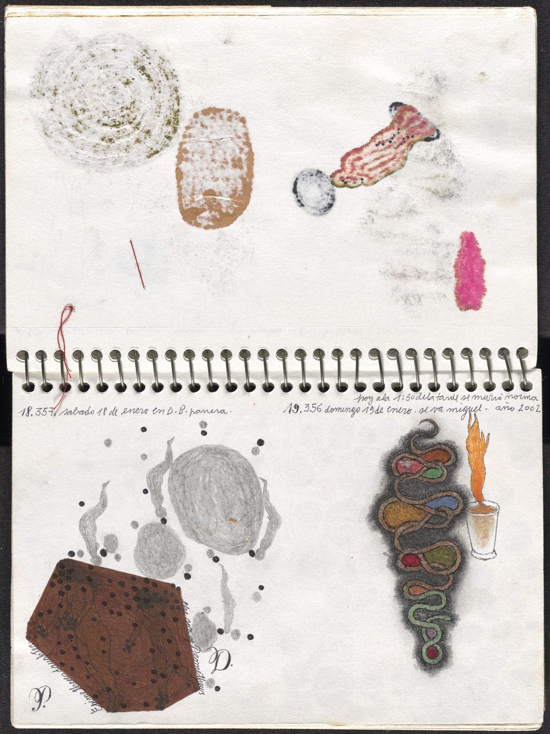 José Antonio Suárez Londoño. Metamorphoses Ovid I (Metamorfosis Ovidio I). 2003