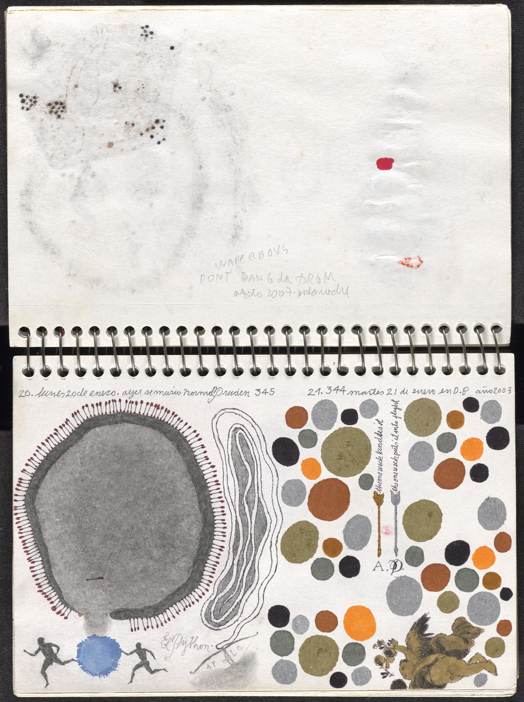 José Antonio Suárez Londoño. Metamorphoses Ovid I (Metamorfosis Ovidio I). 2003
