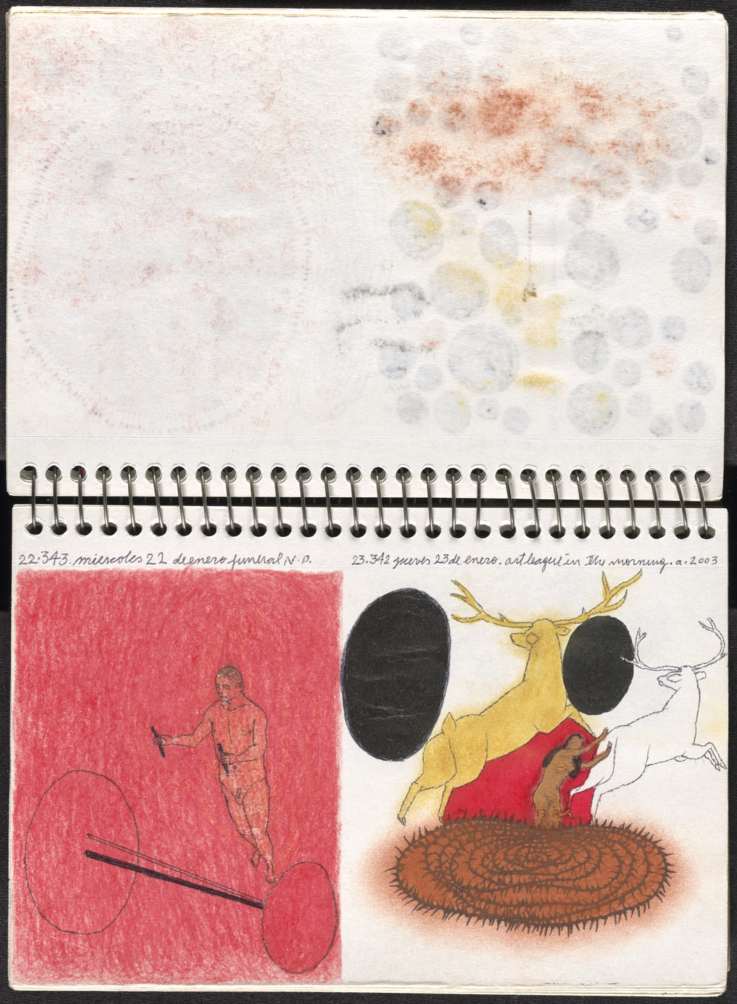 José Antonio Suárez Londoño. Metamorphoses Ovid I (Metamorfosis Ovidio I). 2003