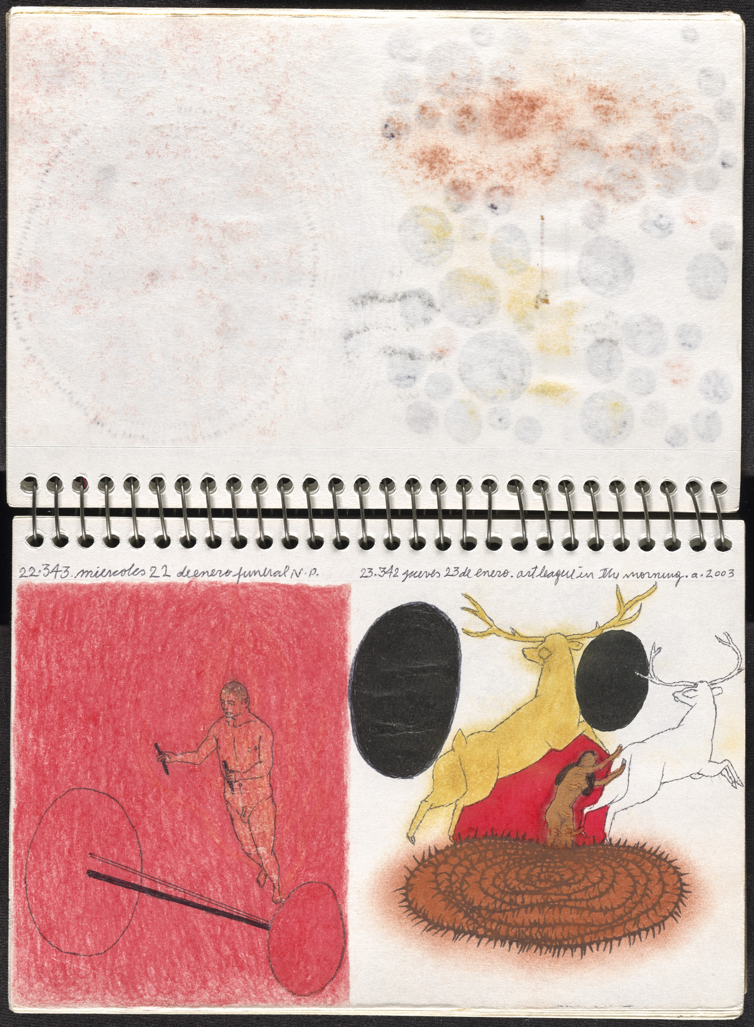 José Antonio Suárez Londoño. Metamorphoses Ovid I (Metamorfosis Ovidio I). 2003
