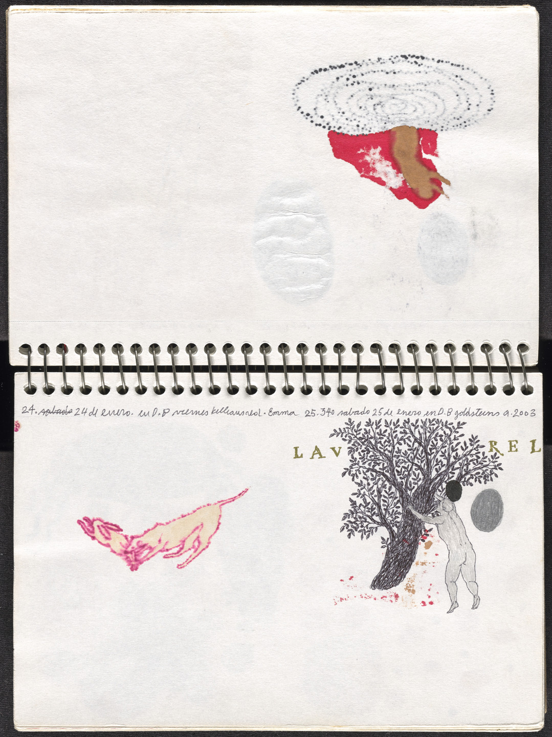 José Antonio Suárez Londoño. Metamorphoses Ovid I (Metamorfosis Ovidio I). 2003