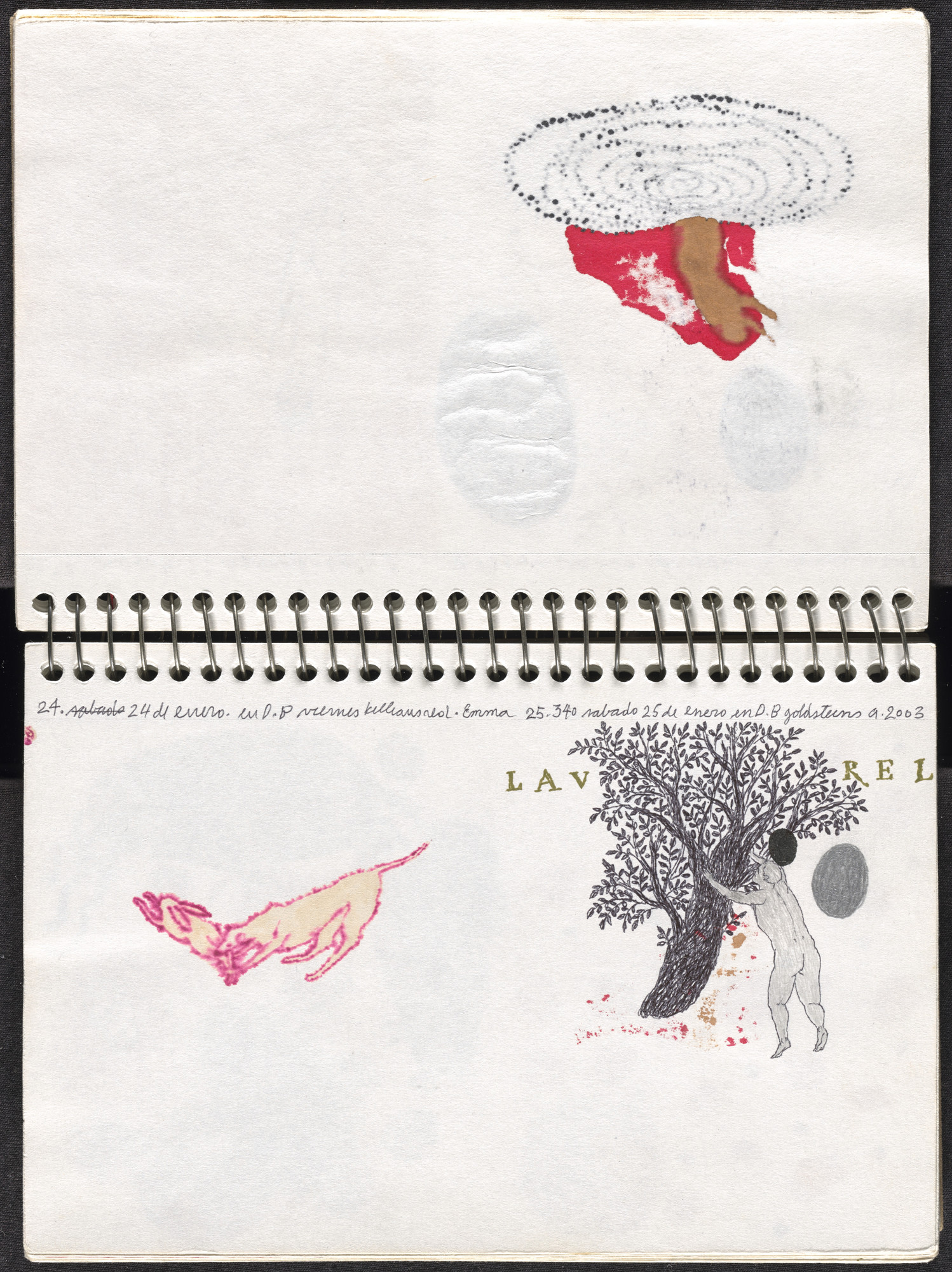 José Antonio Suárez Londoño. Metamorphoses Ovid I (Metamorfosis Ovidio I). 2003