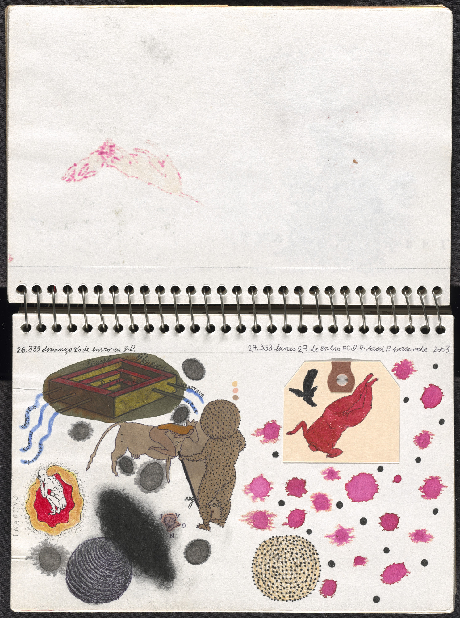 José Antonio Suárez Londoño. Metamorphoses Ovid I (Metamorfosis Ovidio I). 2003