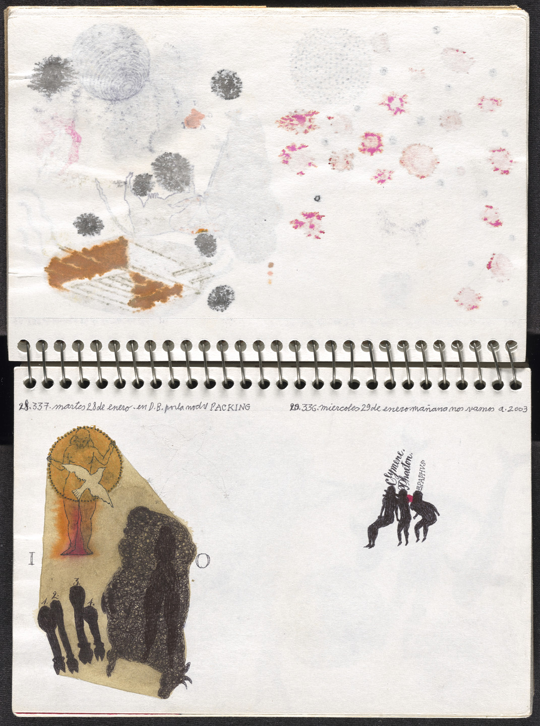 José Antonio Suárez Londoño. Metamorphoses Ovid I (Metamorfosis Ovidio I). 2003