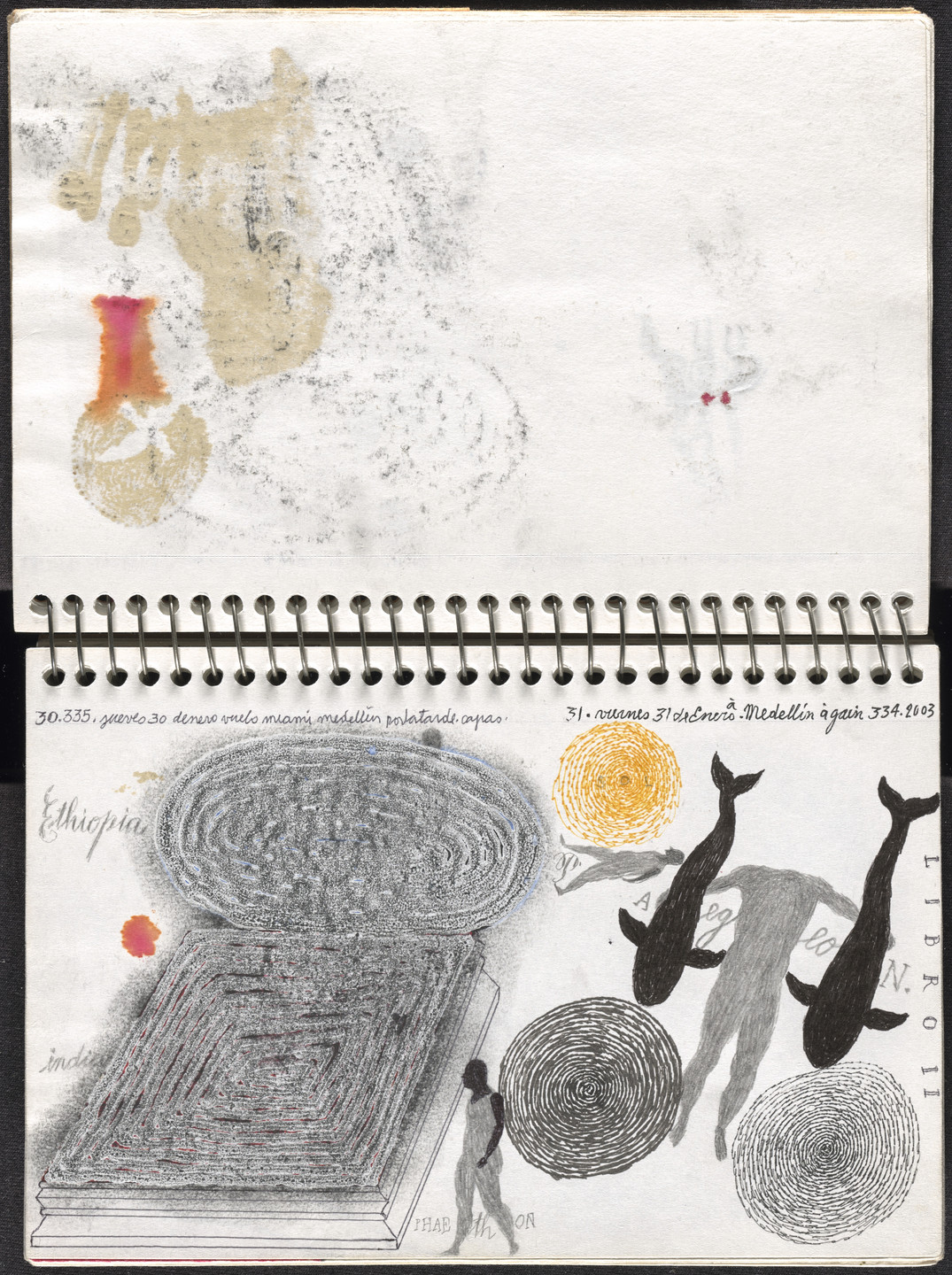 José Antonio Suárez Londoño. Metamorphoses Ovid I (Metamorfosis Ovidio I). 2003