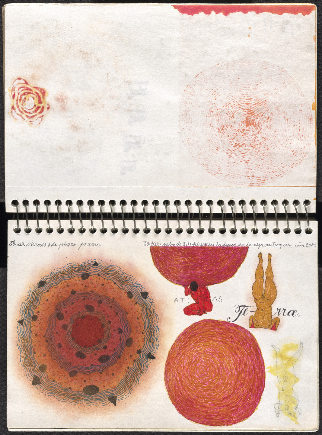 José Antonio Suárez Londoño. Metamorphoses Ovid I (Metamorfosis Ovidio I). 2003