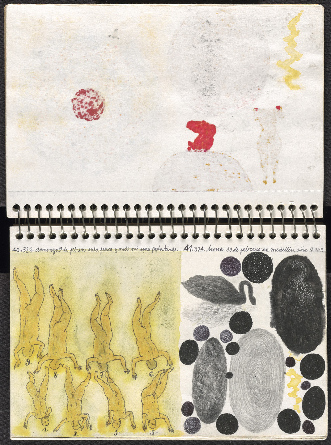 José Antonio Suárez Londoño. Metamorphoses Ovid I (Metamorfosis Ovidio I). 2003