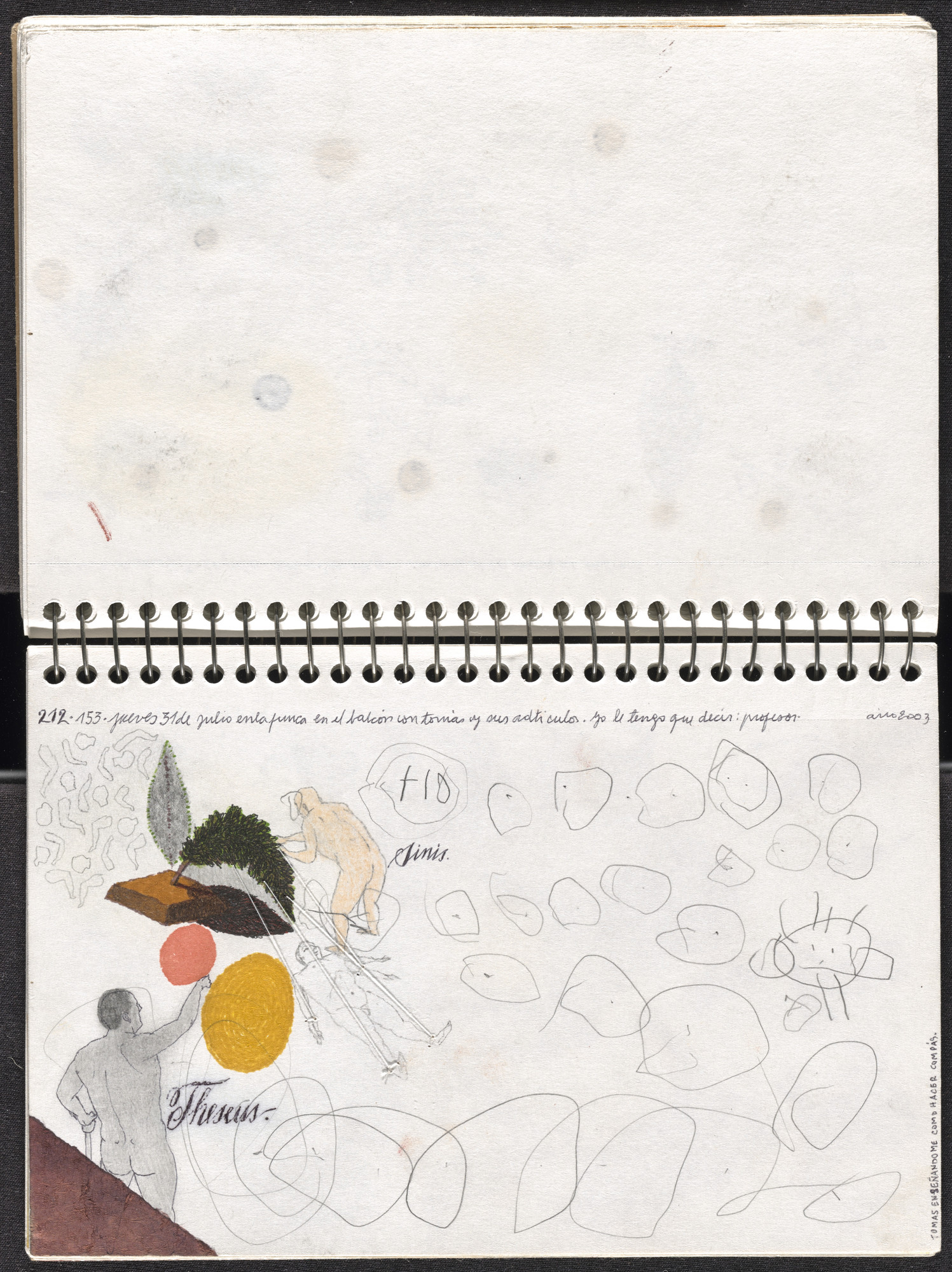 José Antonio Suárez Londoño. Metamorphoses Ovid II (Metamorfosis Ovidio II). 2003
