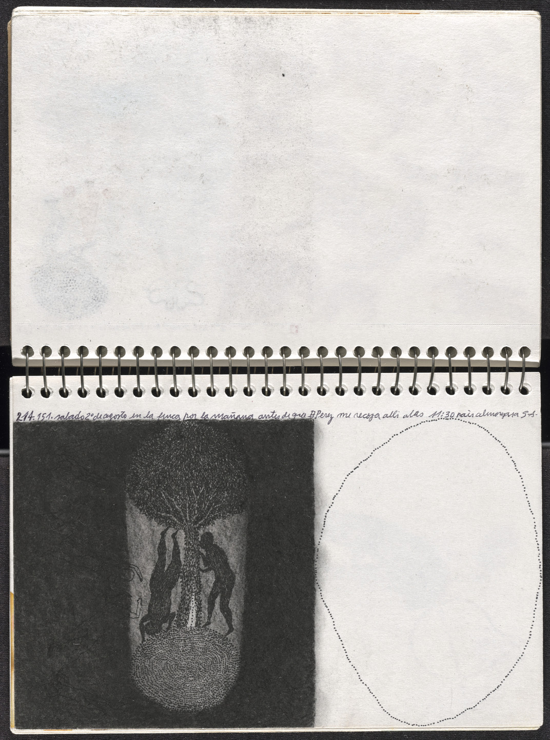 José Antonio Suárez Londoño. Metamorphoses Ovid II (Metamorfosis Ovidio II). 2003