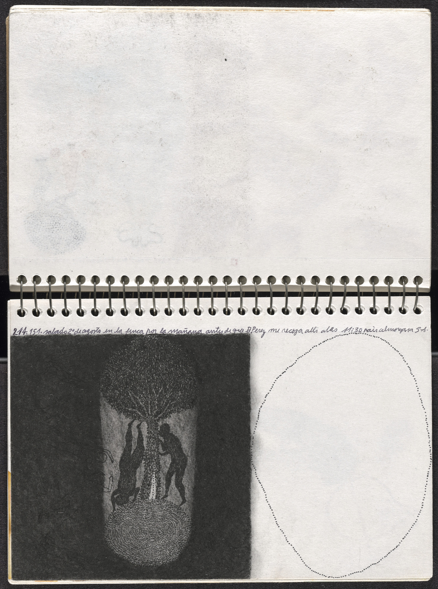 José Antonio Suárez Londoño. Metamorphoses Ovid II (Metamorfosis Ovidio II). 2003