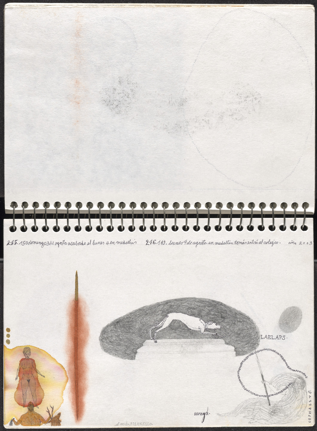 José Antonio Suárez Londoño. Metamorphoses Ovid II (Metamorfosis Ovidio II). 2003