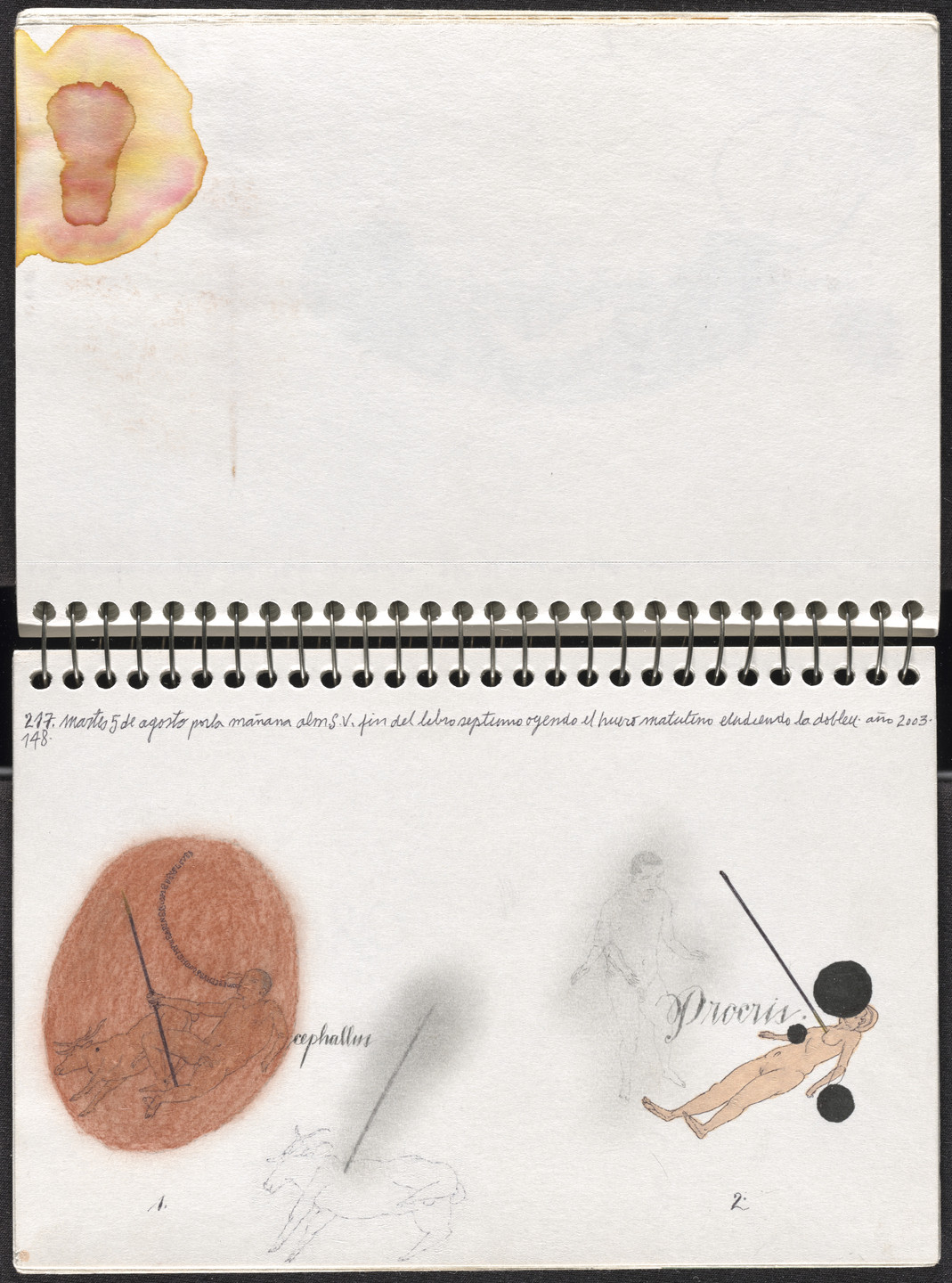 José Antonio Suárez Londoño. Metamorphoses Ovid II (Metamorfosis Ovidio II). 2003