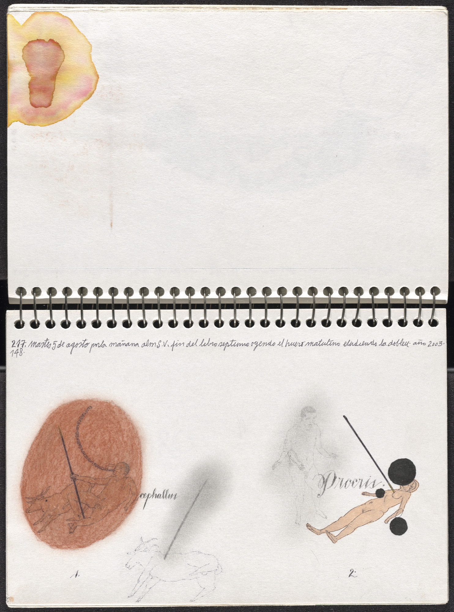 José Antonio Suárez Londoño. Metamorphoses Ovid II (Metamorfosis Ovidio II). 2003