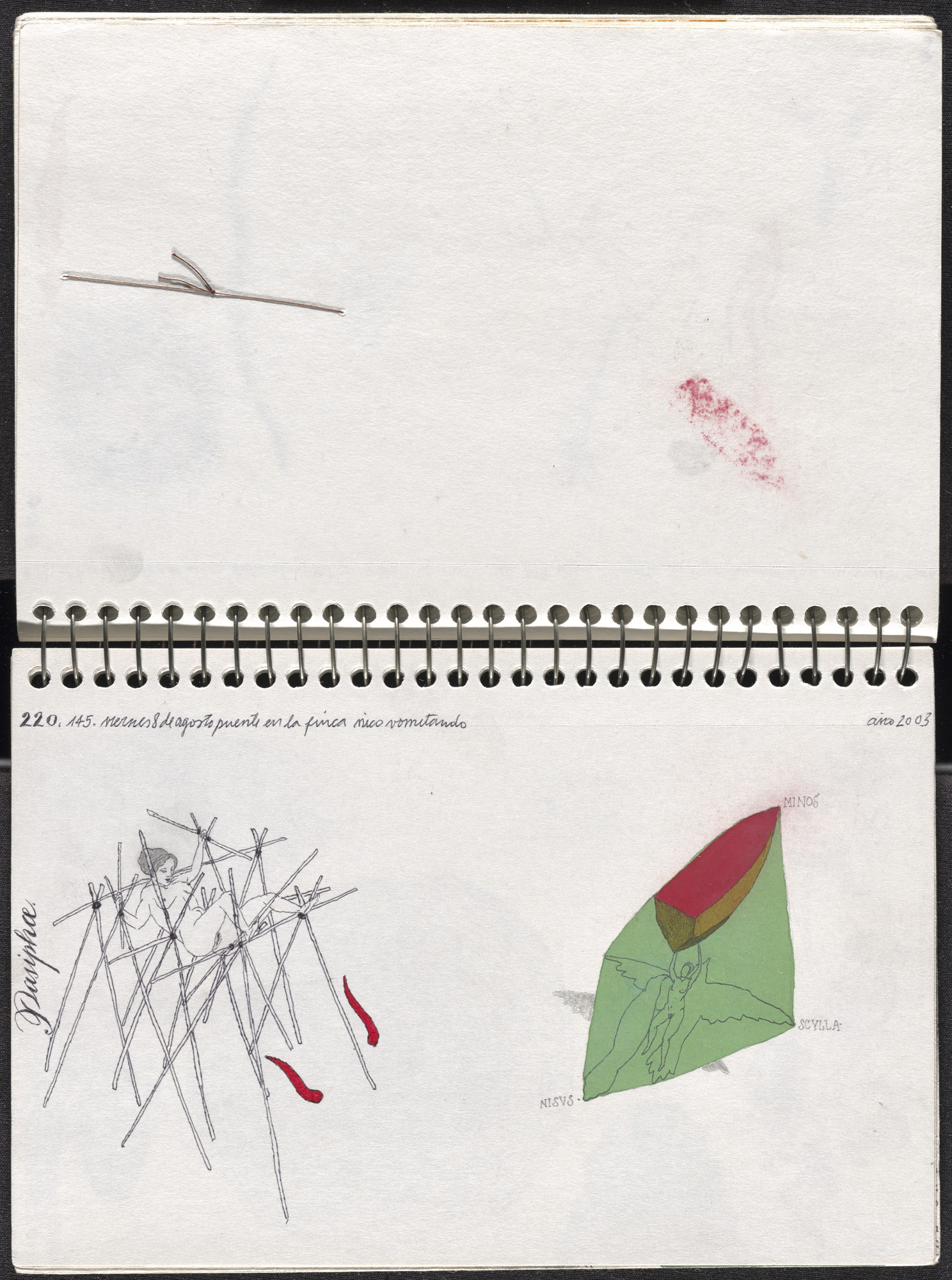 José Antonio Suárez Londoño. Metamorphoses Ovid II (Metamorfosis Ovidio II). 2003