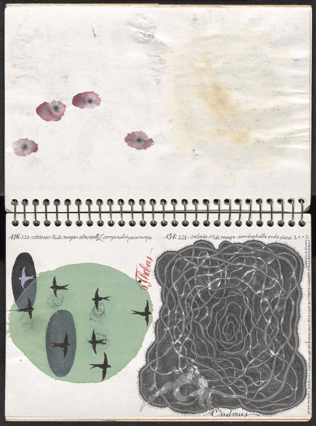 José Antonio Suárez Londoño. Metamorphoses Ovid II (Metamorfosis Ovidio II). 2003