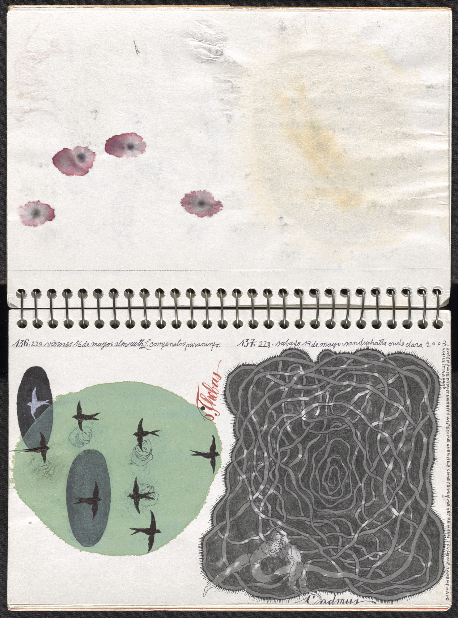 José Antonio Suárez Londoño. Metamorphoses Ovid II (Metamorfosis Ovidio II). 2003